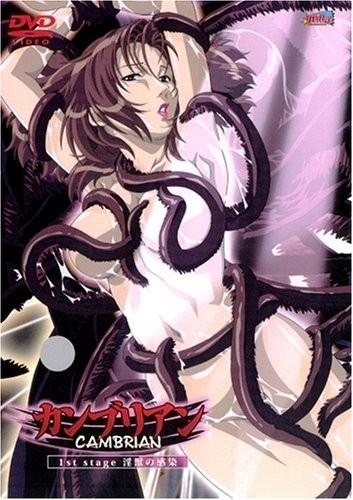 坎布里亚